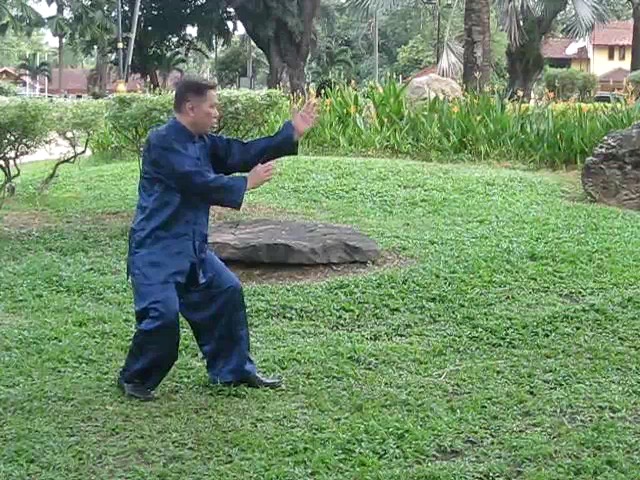 Wu Yu Xiang Style Taijiquan